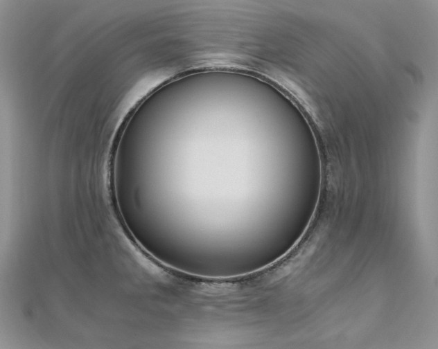 X0000110891285200906181238