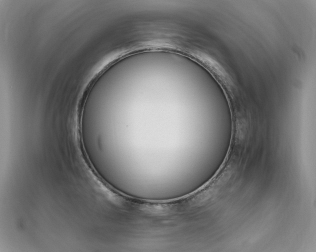 X0000110891286200906181238