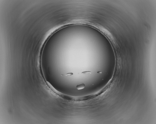 X0000110891288200906181238