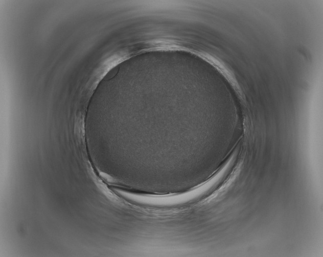X0000110891289200906181238