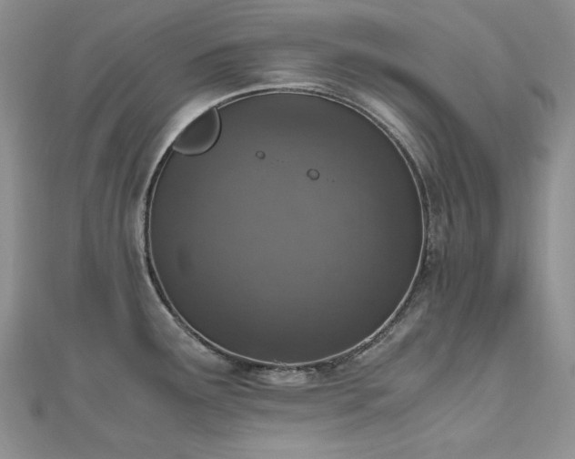 X0000110891291200906181238