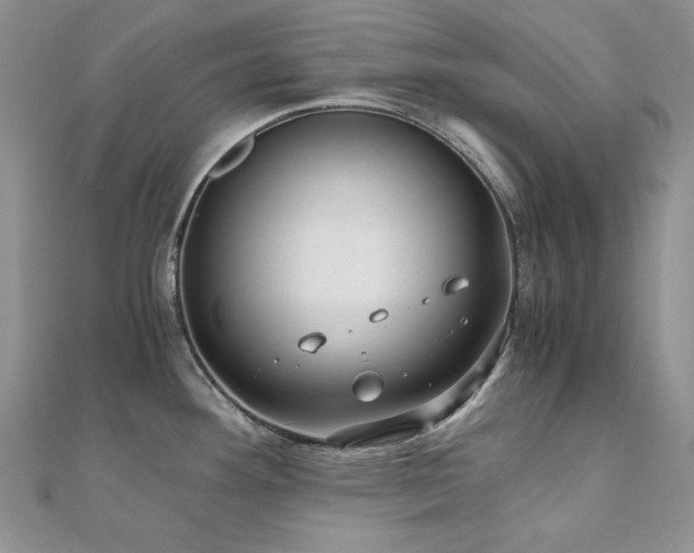 X0000110891292200906181238