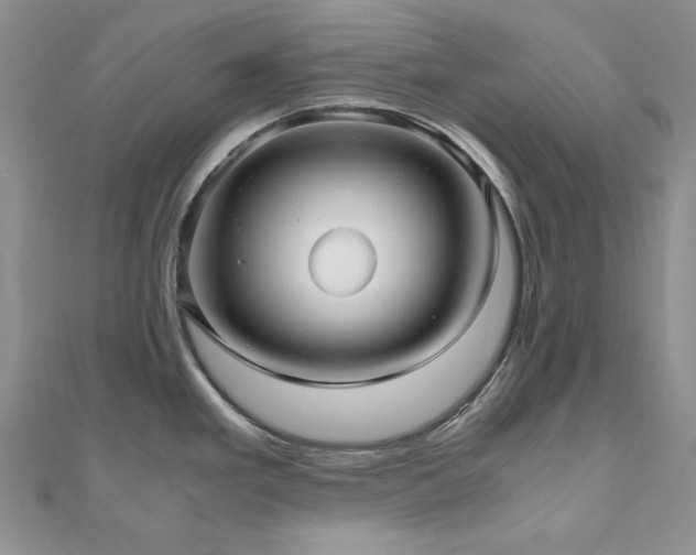 X0000110891293200906181238