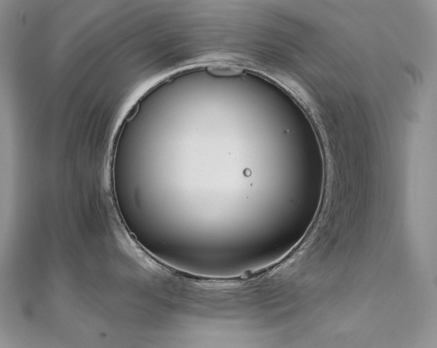 X0000110891296200906181238
