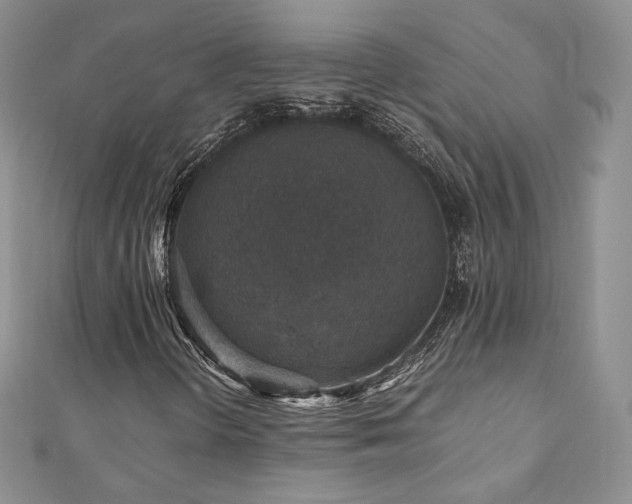 X0000110891298200906181237