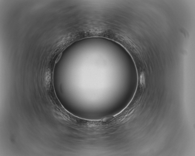 X0000110891299200906181237