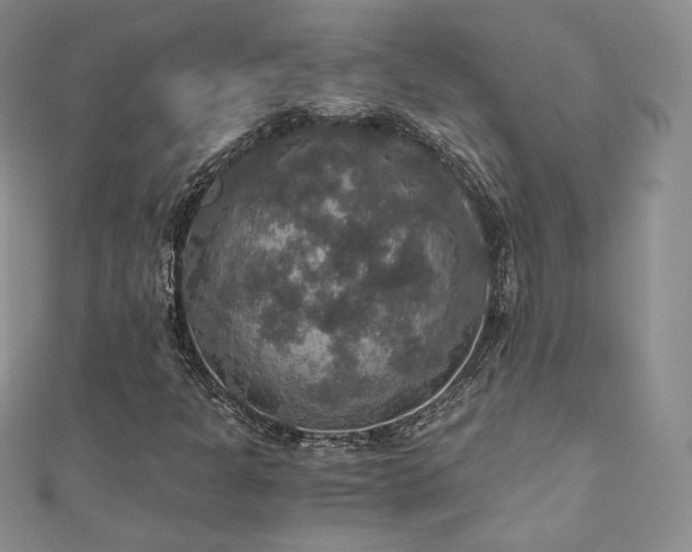 X0000110891301200906181237