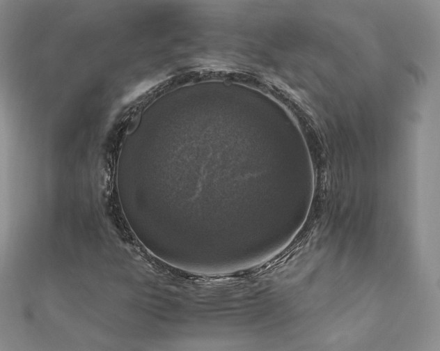 X0000110891303200906181237
