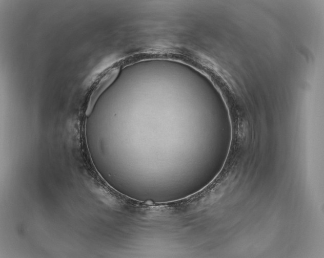 X0000110891304200906181237