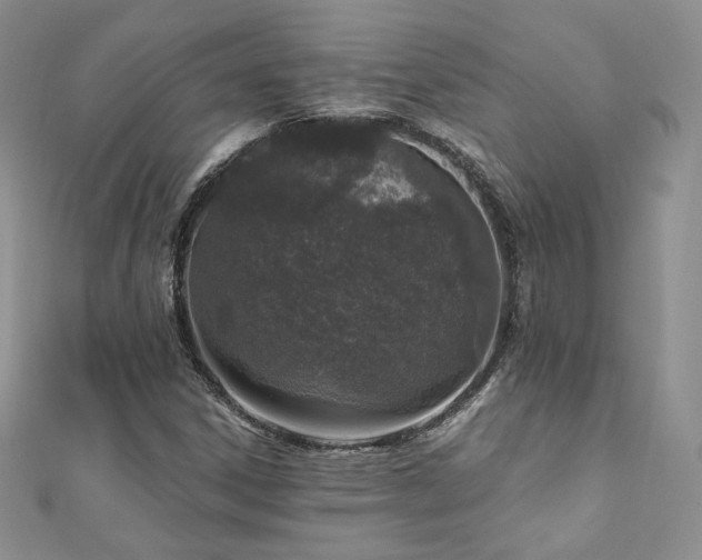 X0000110891306200906181237