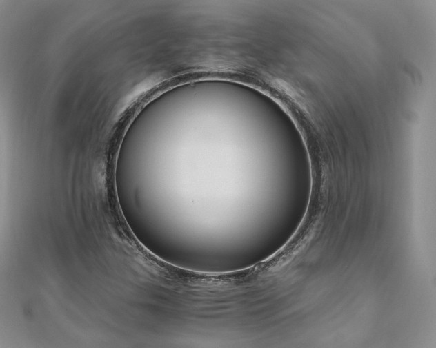 X0000110891307200906181237