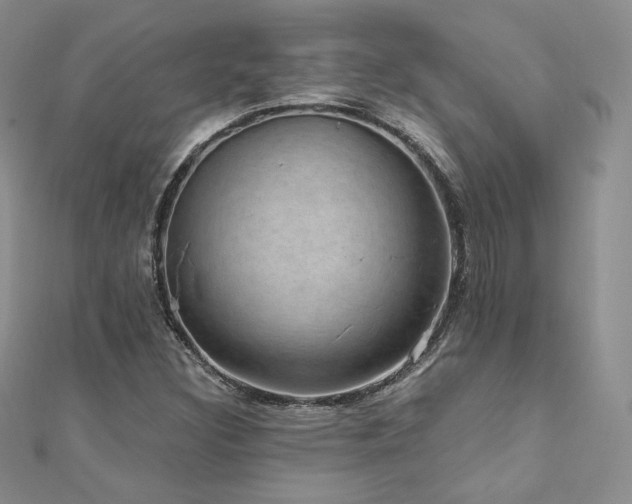 X0000110891308200906181238