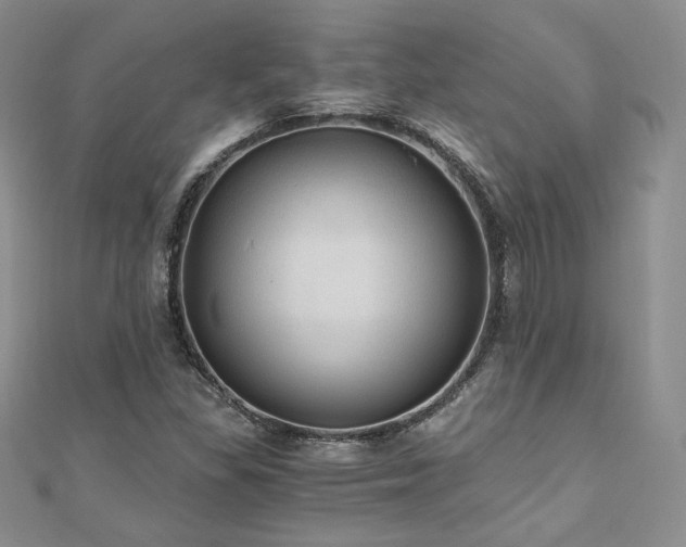 X0000110891309200906181238