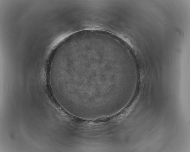 X0000110891311200906181238