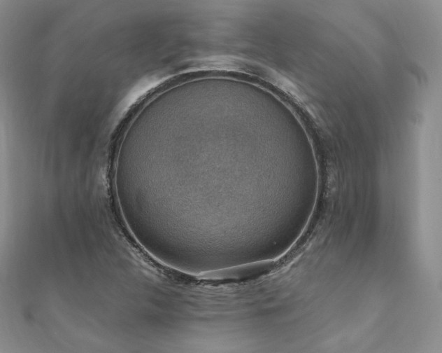 X0000110891312200906181238