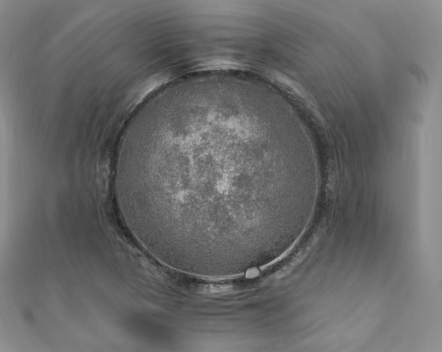 X0000110891313200906181238