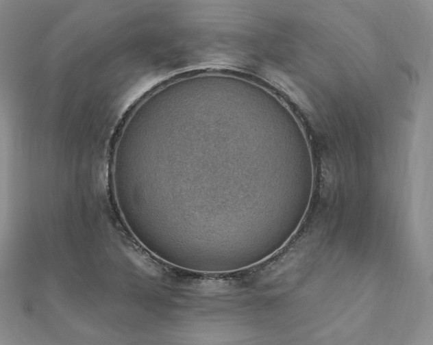 X0000110891316200906181238