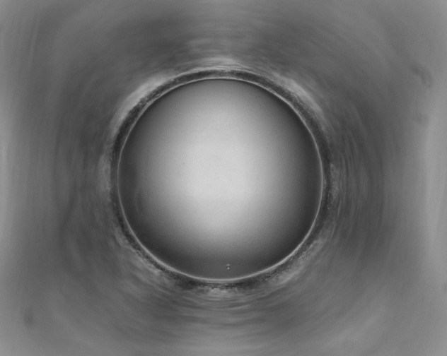 X0000110891318200906181238