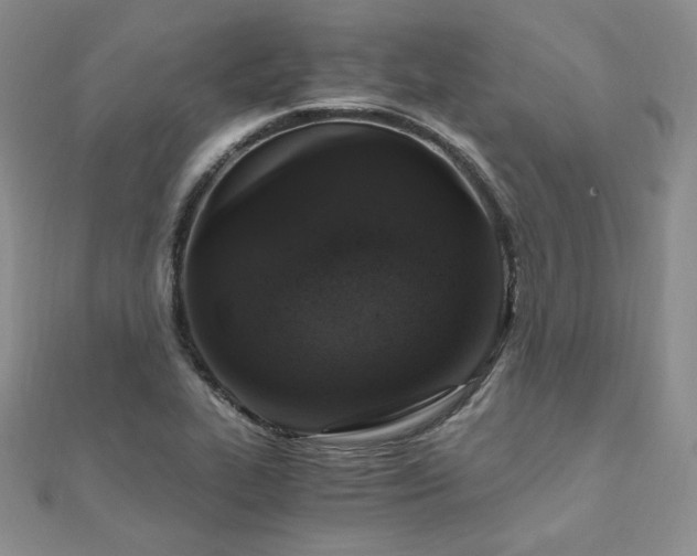 X0000110891319200906181238