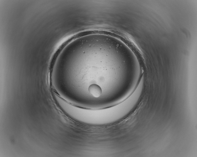 X0000110891320200906181238