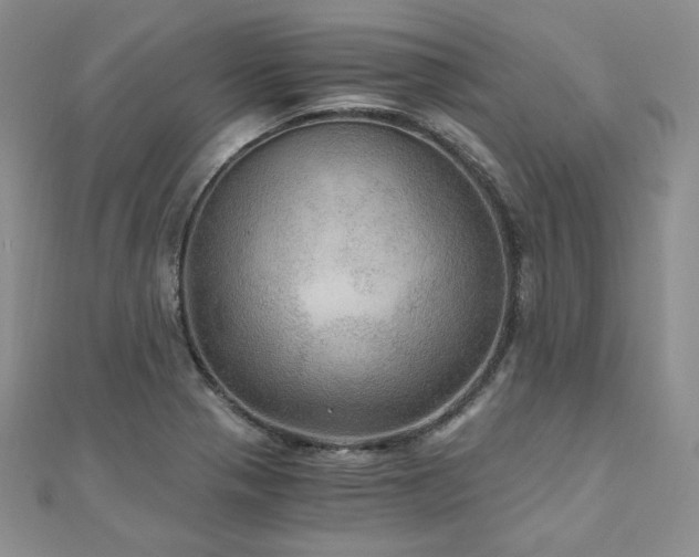 X0000110891321200906181238