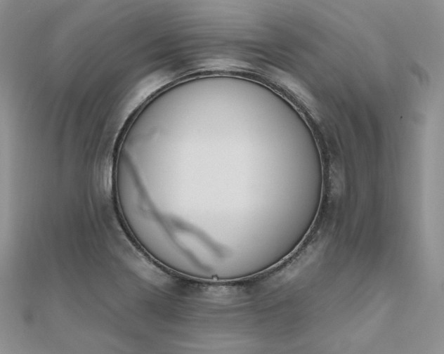 X0000110891322200906181238