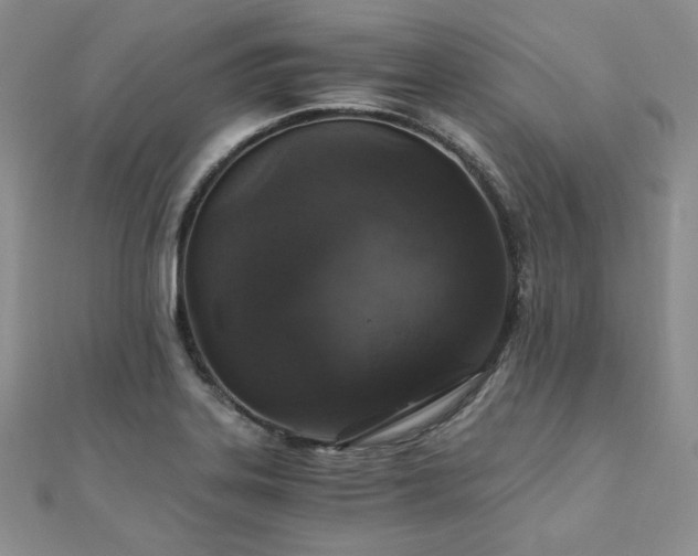 X0000110891323200906181238