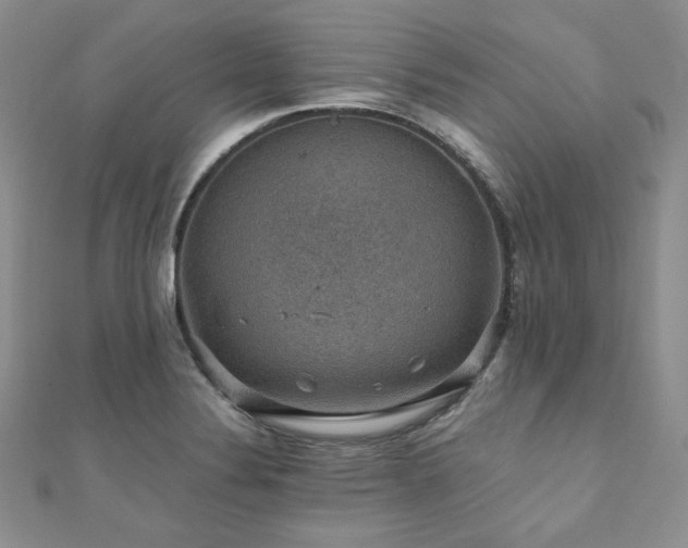 X0000110891324200906181238