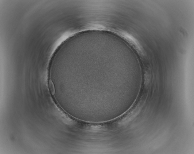 X0000110891326200906181238