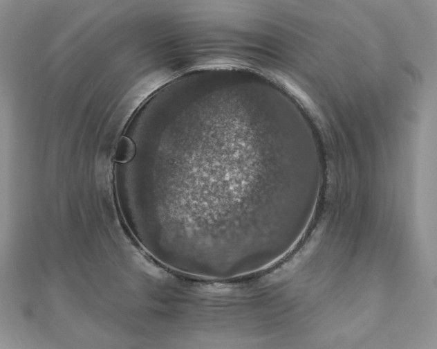 X0000110891329200906181238
