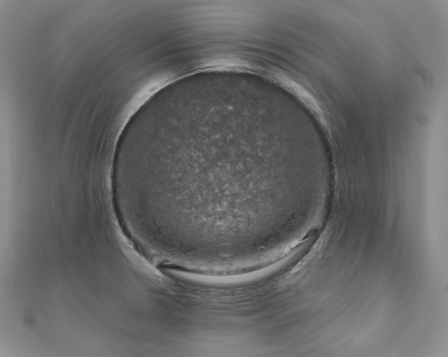 X0000110891330200906181238