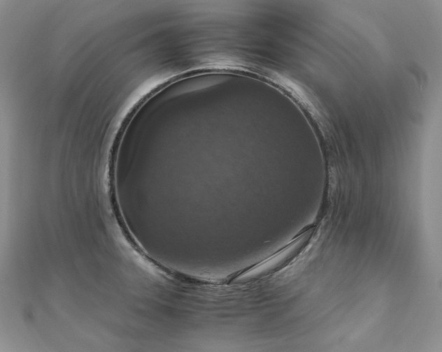 X0000110891331200906181238