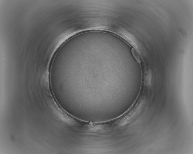 X0000110891332200906181238