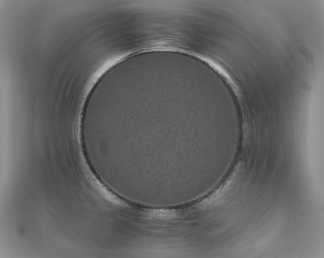 X0000110891333200906181238
