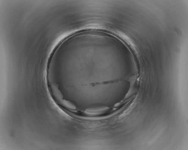 X0000110891334200906181238