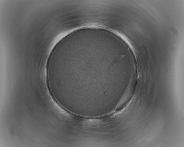 X0000110891335200906181238