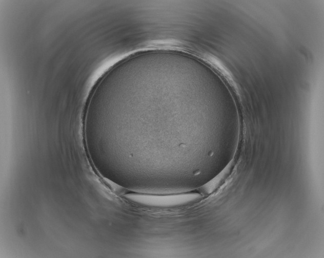 X0000110891336200906181238