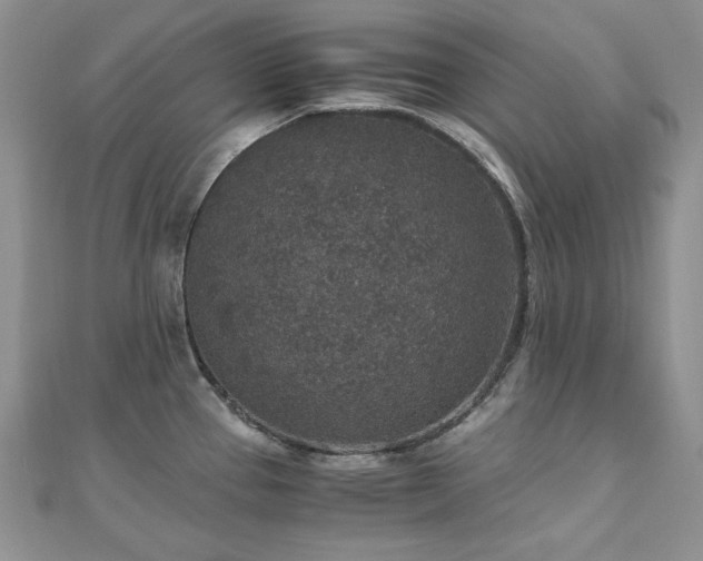 X0000110891337200906181238