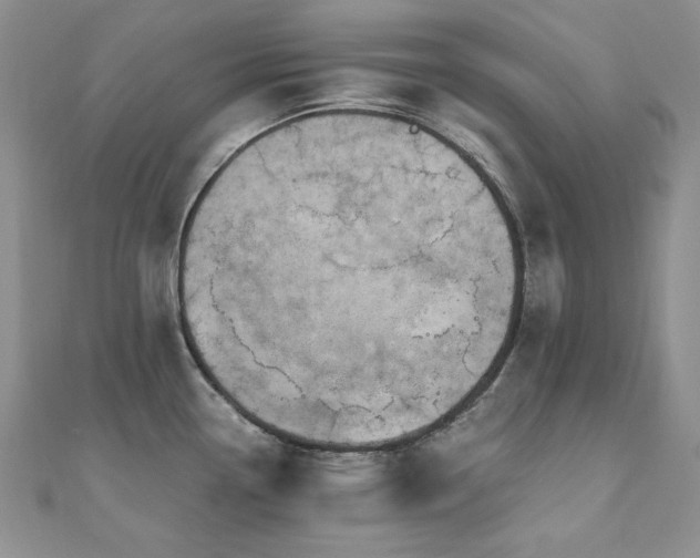 X0000110891338200906181238