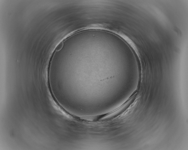 X0000110891341200906181238