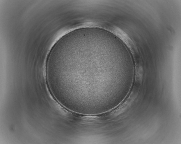 X0000110891342200906181238