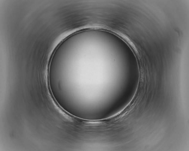 X0000110891343200906181238