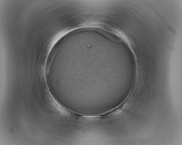 X0000110891344200906181238