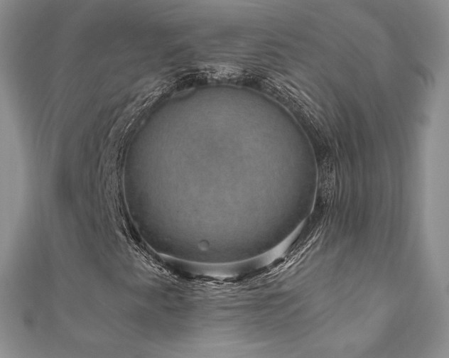 X0000110891345200906181237