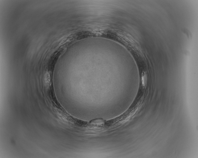 X0000110891347200906181237