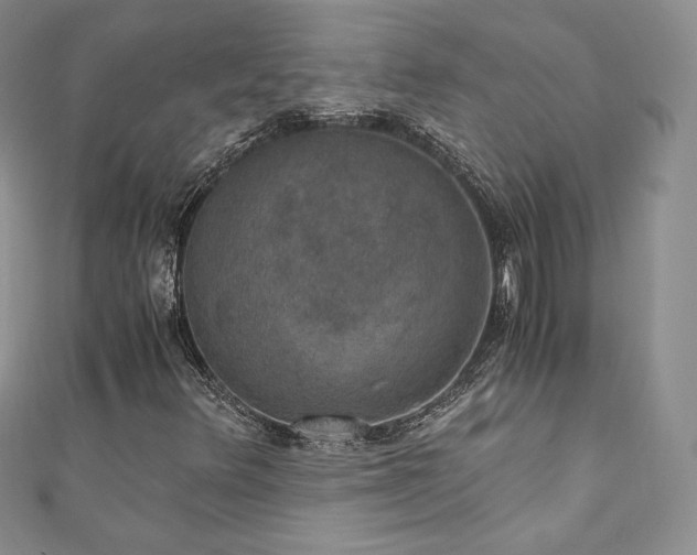 X0000110891348200906181237