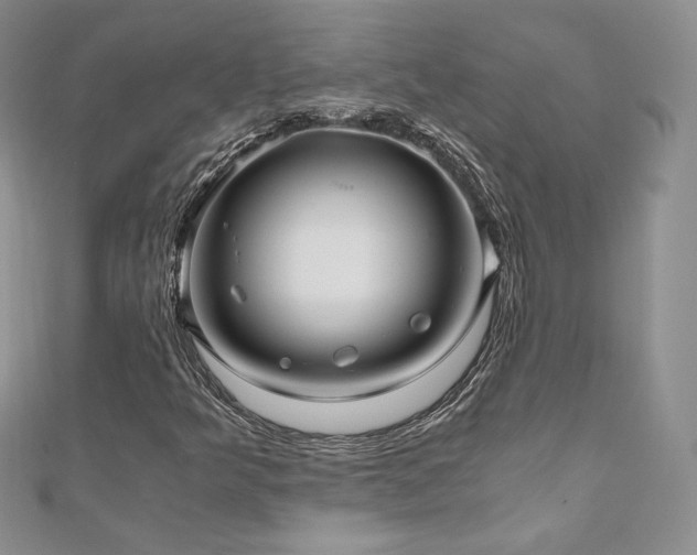 X0000110891349200906181237