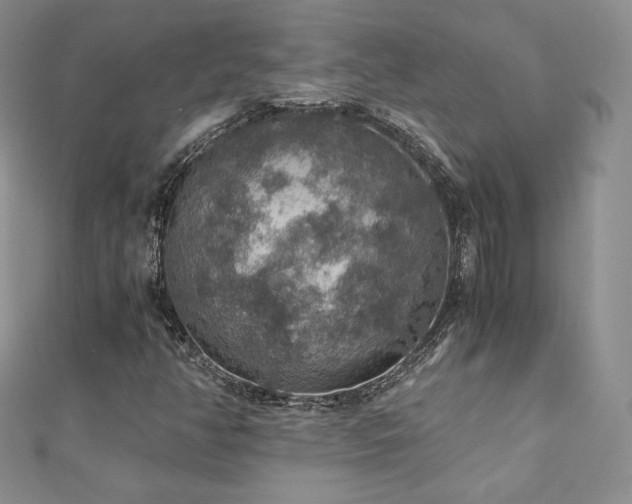X0000110891350200906181237