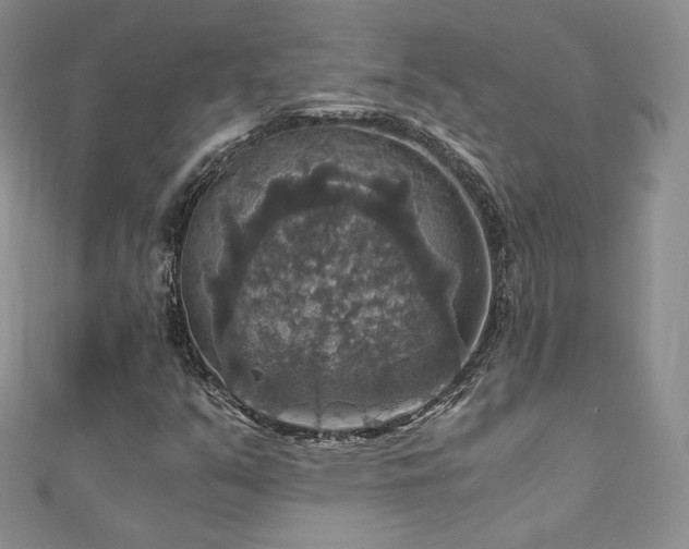 X0000110891351200906181237