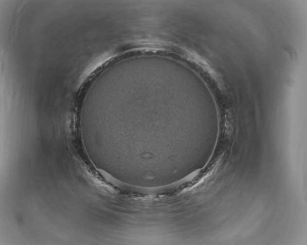 X0000110891352200906181237